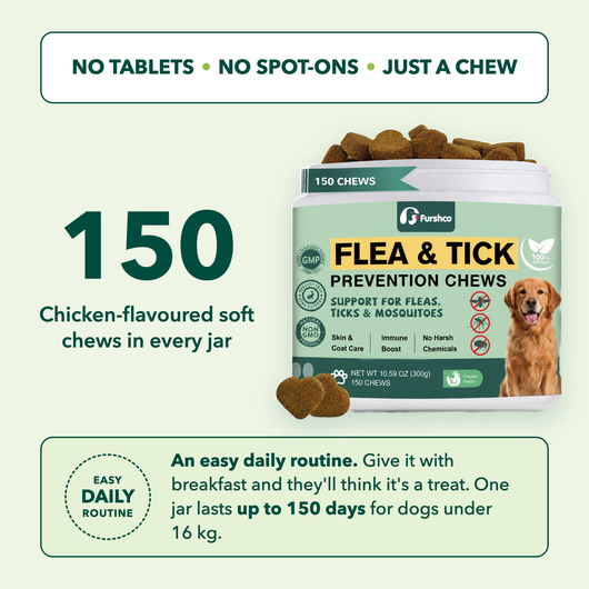 Furshco chews jar with a Golden Retriever: no tablets, no spot-ons, just a chew
