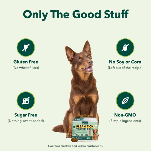 Flea & Tick Chews for Dogs, Chicken Flavour, 150 Chews