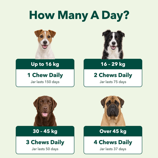 How many a day, by dog weight