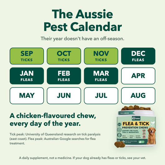 The Aussie pest calendar: ticks September to November, fleas December to March