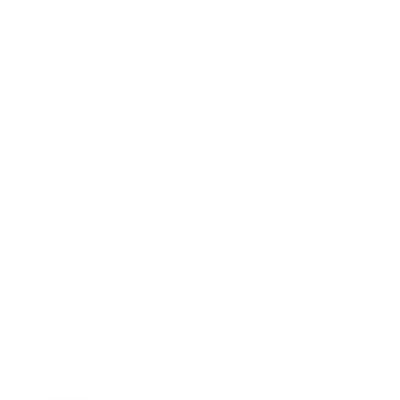 Dogs Actually Use It