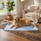 Fursh™ | Dog Cooling Mat
